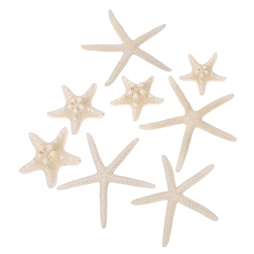 MUELODSIC 8 Stück Teiliges Natur Seestern Deko Langlebige Meeresornamente für Aquarium DIY Wunschflasche Vielseitige Strand und Gartendekoration Natürliche Farben Größenmix MUELODSIC 8 Stück Teiliges Natur Seestern Deko Langlebige Meeresornamente für Aquarium DIY Wunschflasche Vielseitige Strand und Gartendekoration Natürliche Farben Größenmix von MUELODSIC