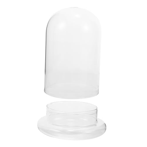 MUELODSIC Dekorative Klare Glasglocke mit Großem Loch Robustes Terrarium aus für DIY Moospflanzen Moderner Pflanzhalter Wassersparende und Korrosionsbeständige Micro Landschaftsvase für von MUELODSIC
