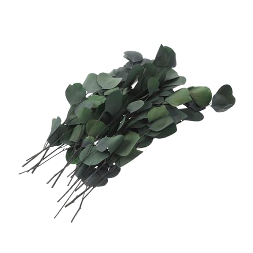 MUELODSIC Eukalyptus Zweig Bundle Getrocknet Grün Deko Kranz Basteln Tischdeko Hochzeit Festlich Wohnkultur Natürliche Eukalyptusblätter Langlebig von MUELODSIC