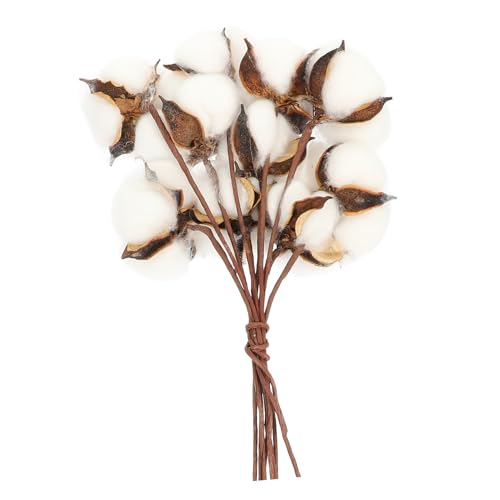 MUELODSIC Getrocknete Baumwollzweige Teiliges Natürliche Baumwollblüten Leichte Dekoration für Vase Hochzeit Party Wohnzimmer DIY Festtagsdeko von MUELODSIC