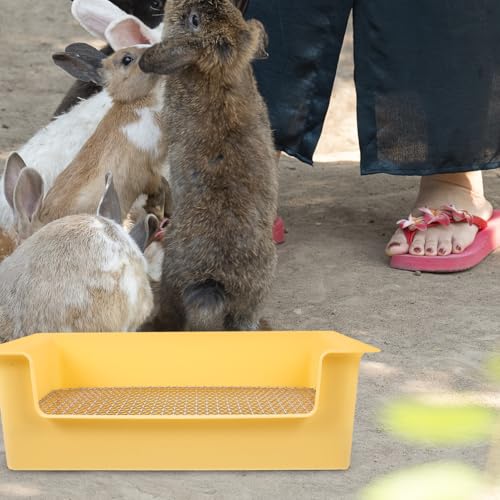 MUELODSIC Kaninchen Toilette Rechteckig Mini Tragbar Katzentoilette Zwergkaninchen Toilettentrainer Kleintier Toilette für Meerschweinchen und Hamster Geeignet Bpa frei Kompakt von MUELODSIC