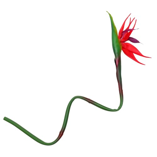 MUELODSIC Künstliche Strelitzia Reginae Pflanze Dekoration Lebensecht Langlebig Farbintensiv Wiederverwendbar für Zuhause Hochzeit Party DIY Deko Künstliche Blütenköpfe Kunstpflanze MUELODSIC Künstliche Strelitzia Reginae Pflanze Dekoration Lebensecht Langlebig Farbintensiv Wiederverwendbar für Zuhause Hochzeit Party DIY Deko Künstliche Blütenköpfe Kunstpflanze von MUELODSIC
