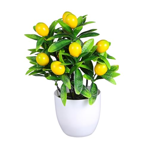 MUELODSIC Künstlicher Mini Zitronenbaum Bonsai mit Weißem Kunststofftopf Langlebige Dekopflanze für Büro Wohnzimmer Hotel Allergikerfreundlich Realistische Tischpflanze von MUELODSIC