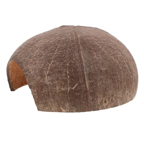 MUELODSIC Natürliche Kokosnussschale Reptilienhöhle Versteck mit Hoher Tragfähigkeit Sicherer Rückzugsort für Schildkröten und Echsen Dekoratives Aquarium Ornament für Innen und MUELODSIC Natürliche Kokosnussschale Reptilienhöhle Versteck mit Hoher Tragfähigkeit Sicherer Rückzugsort für Schildkröten und Echsen Dekoratives Aquarium Ornament für Innen und von MUELODSIC