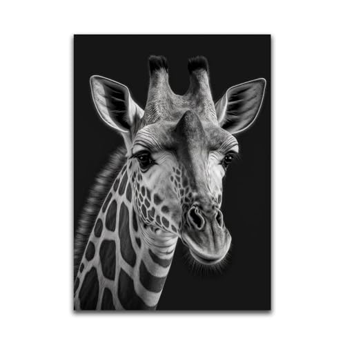 MUHJDYC Bild Giraffe Schwarz Weiß-Bild Giraffe Leinwand-Bild Tiere Leinwand Tier Leinwand Poster Kunstdruck 40x60cm Frameless von MUHJDYC