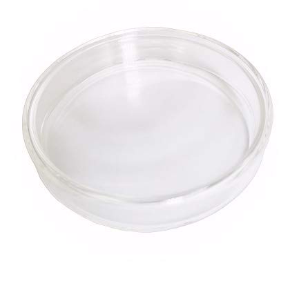 Petrischale aus Glas, mit Deckel, 90 mm, 10 Stück von MUHWA