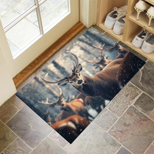 Fußmatte rutschfest 90x150cm, Wald Hirsch Waschbar Flur Matte, Graublau Weiche Haustür Matte, Schmutzfangmatte für Innen Außen, Landschaft Tiere Fussabtreter Eingangsbereich von MULERN