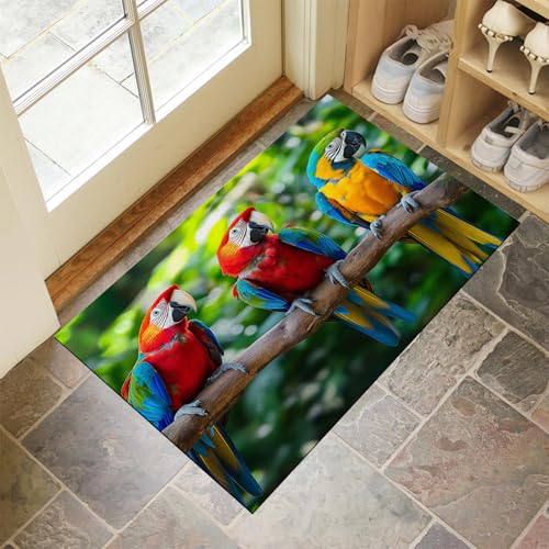 MULERN Eingang Fußmatte 50X80Cm - Innen Und Außen Waschbar Fussmatt, Wasserdicht Türmatte, DREI Papageien Rutschfester Schmutzfänger Teppich Für Eingang, Haustür, Patio, Flur, Garten von MULERN
