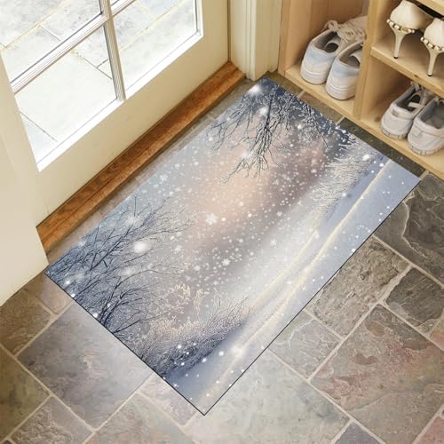 MULERN Fußmatte 60X90Cm - rutschfeste Eingangsmatte, Strapazierfähige Fußmatte, Schmutzfangmatte Mit Gummibeschichtung Für Den Außenbereich, Weihnachtsschneeflockenzweig Waschbare Fußmatte von MULERN