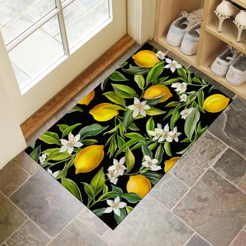 MULERN Fußmatte Außen Und Innen - 50X80Cm rutschfeste Schmutzfangmatte Türmatte, Waschbar Wetterfest Fussmatte, Zitrone Aussen Für Haustür, Eingangsbereich, Garten Türmatte Teppich von MULERN
