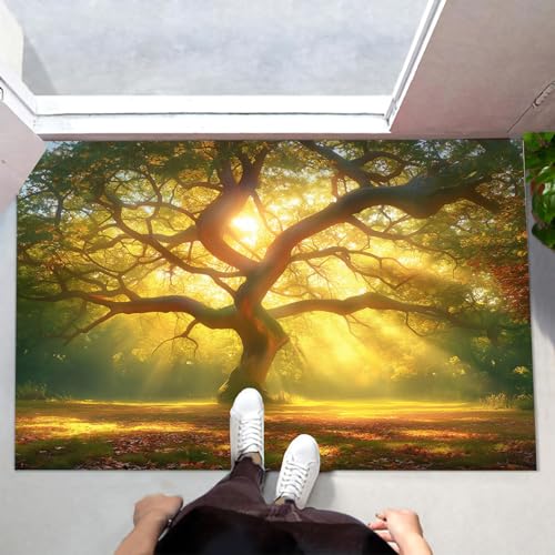 MULERN Schmutzfangmatte Innen 40X60Cm - Maschinenwaschbare Fußmatte, Sauberlaufmatte, Sonniger Baum Eingangstürmatte Mit Wasserabsorbierenden, Fussmatte Für Hund, Eingang, Haustür & Flur von MULERN
