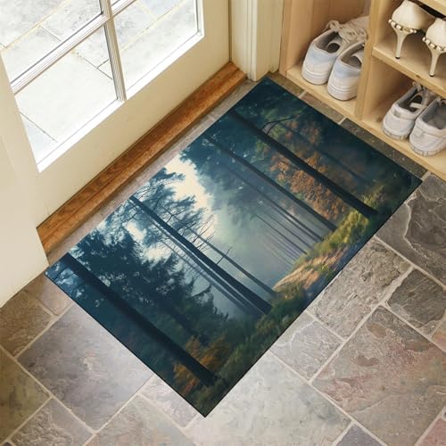 MULERN Waschbar Türmatte - 40X60Cm Fußmatte Innen, Absorbierend Fussmatte, rutschfeste Sauberlaufmatte, Wald Großer Baum Landschaft Schmutzfänger Teppich Für Hund, Eingang, Nasse Pfoten von MULERN