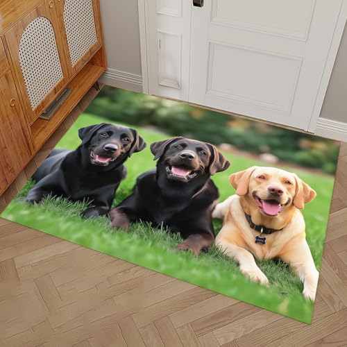 MULERN rutschfeste Fußmatte, 50x80cm Einfach Sauber Schmutzfangmatte Rasen Labrador Retriever Eingangsbereich, Süß Fussmatte Innen, Grün Teppich für Haustür, Saugstarke Türmatte von MULERN