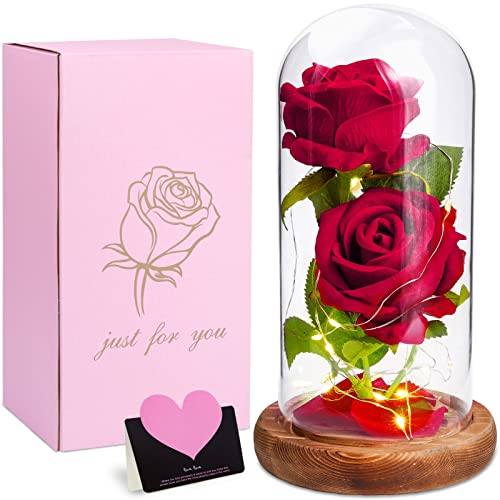 MULEVIP Rose im Glas Ewige Rosen,Rose Geschenk Kit Rose in Glaskuppel mit LED-Lichter,Schöne und das Tier Rose ​Geschenke für Frauen,Frau,Freundin,Muttertag, Jubiläum, Valentinstag, Hochzeit von MULEVIP