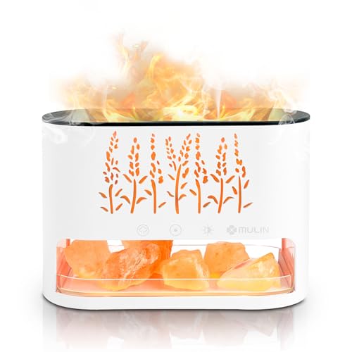 MULIN 2-in-1 Aroma Diffuser & Salt Pakistan Leuchte, Diffuser ätherische öle, Diffusor Kühler Nebel Luftbefeuchter,Automatische Abschaltung bei Wasserlosem Zustand,für Zuhause Büro Oder Yoga.Weiß von MULIN