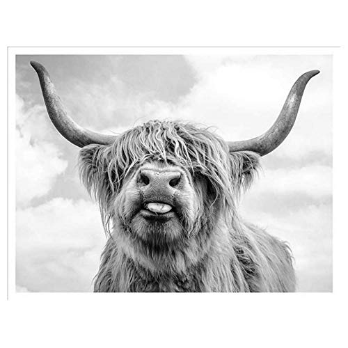 MULMF Highland Cattle Poster Und Drucke Schwarz Weiß Wandkunst Leinwand Malerei Kuh Wandbilder Für Wohnzimmer Dekoration-60X80 cm Kein Rahmen von MULMF