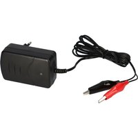 Set - Bleiakku und Ladegerät - 6V 12Ah Multipower Akku 0,6A Lader von MULTIPOWER