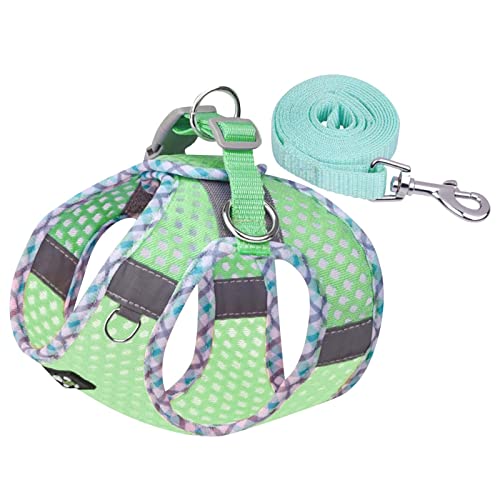 Hundegeschirr Kleine Hunde Geschirr Hund Weich Gepolstert Hunde Geschirr Reflektierend, Air-Mesh Brustgeschirr für Welpen Kleine Hunde, Haustiere, Katzen, Verstellbare Atmungsaktive (Green, XS) von MUMEOMU