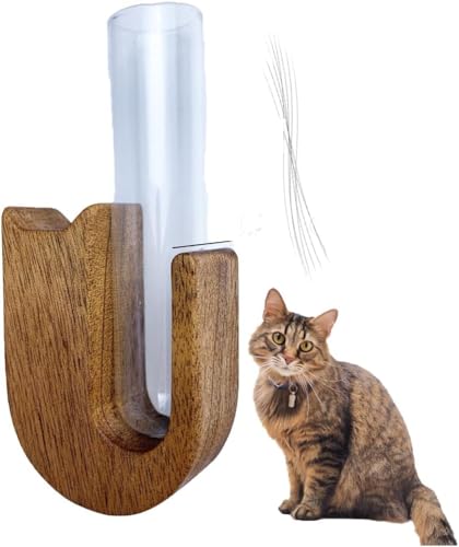Katzenschnur-Vase, Miniatur-Katzen-Schnurrhaar, kleine Glas-Katzen-Schnurrhaar-Sammler & Mini-dekorative Vase, ideal als Haustier-Andenken-Box oder Beileidsgeschenk für Katzen, kleine Vase für Katzenschnur-Vase, Miniatur-Katzen-Schnurrhaar, kleine Glas-Katzen-Schnurrhaar-Sammler & Mini-dekorative Vase, ideal als Haustier-Andenken-Box oder Beileidsgeschenk für Katzen, kleine Vase für von MUMQAQ