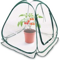 Mumu - Mini-Popup-Gewächshaus 70 x 70 cm – kleines Gewächshaus für Gemüse, Blumen und Pilze – transparentes PVC-Überwinterungszelt für Pflanzen – Mumu - Mini-Popup-Gewächshaus 70 x 70 cm – kleines Gewächshaus für Gemüse, Blumen und Pilze – transparentes PVC-Überwinterungszelt für Pflanzen – von MUMU