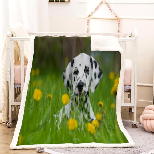 Dalmatiner Kuscheldecke 150x200 Hund Tier Warmer Winter Weich Flauschige Decke Sherpa Wohndecke Geschenke Blanket für Erwachsene Mikrofaser Sofadecke Couchdecke Tagesdecke von MUNOOR