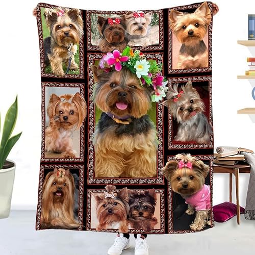 MUNOOR 3D Yorkshire-Terrier Kuscheldecken 70x100 cm Weich Flanelldecke Wohndecke Geschenke für Kinder Erwachsene, Decke 3D mit Motiv Tiere Blumen Sofadecke Couchdecke Tagesdecke MUNOOR 3D Yorkshire-Terrier Kuscheldecken 70x100 cm Weich Flanelldecke Wohndecke Geschenke für Kinder Erwachsene, Decke 3D mit Motiv Tiere Blumen Sofadecke Couchdecke Tagesdecke von MUNOOR