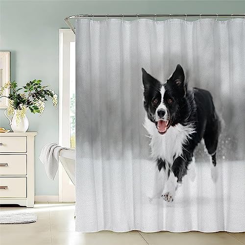 MUNOOR Border Collie Duschvorhang 180 x200 mit 12 Duschvorhangringe für Badewanne und Badezimmer, Wasserdicht Polyester Badewanne Vorhang 3D Wintertiere Duschvorhänge Stoff Waschbar von MUNOOR