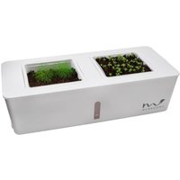 Munroomy - Küchen Kräutergarten Indoor Kräuter Gewächshaus selbstbewässernd Kräutertopf Set Munroomy - Küchen Kräutergarten Indoor Kräuter Gewächshaus selbstbewässernd Kräutertopf Set von MUNROOMY