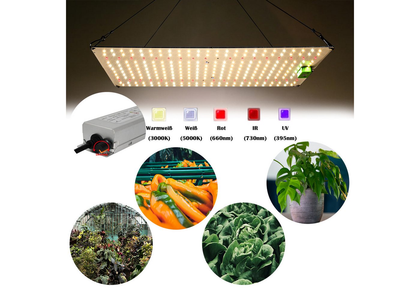 MUPOO Pflanzenlampe LED-Wachstumslicht Vollspektrum Grow Lampe Quantum Cannabis Lampe, 120W, Dimmbar, 45X30cm, LED fest integriert, Warmweiß, Weiß, Rot, Infrarot, UV von MUPOO