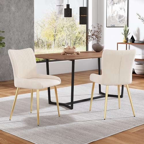 MURUL Samt-Esszimmerstuhl, 2er-Set, luxuriös, Wohnzimmer, Schlafzimmer, Lounge-Stuhl mit Vier Goldene Metallstützbeinen, Lendenwirbelstütze von MURUL