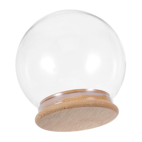 MUSISALY Glaskuppel Mit Sockel Transparente Pflanzen-Terrarium-Kugel Blumenkuppel Cloche Für Ausstellung Kleine Glas-Glocke DIY-Dekoration Sammlerstück-Abdeckung Modell-präsentation MUSISALY Glaskuppel Mit Sockel Transparente Pflanzen-Terrarium-Kugel Blumenkuppel Cloche Für Ausstellung Kleine Glas-Glocke DIY-Dekoration Sammlerstück-Abdeckung Modell-präsentation von MUSISALY