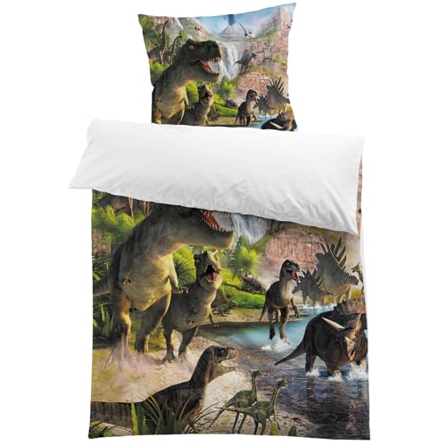 MUSOLEI Dinosaurier Bettwäsche 135x200 Kinder Jurassic World Dino Bettwäsche Jungen Teenager Jugendliche Kinderbettwäsche Mikrofaser 3D-Druck Bettbezug und 1 Kissenbezug 80x80 Geschenk von MUSOLEI