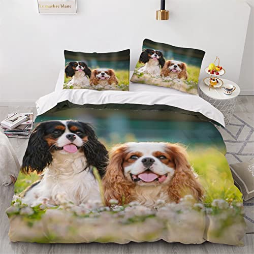 MUTONI Kinderbettwäsche 135x200 cm Cavalier King Charles Spaniel Bettwäsche 3 Teilig Hund Tier Bettbezüge Weich Mikrofaser Bettwäsche-Sets für Kinder Mit Reißverschluss 2 Kissenbezug von MUTONI