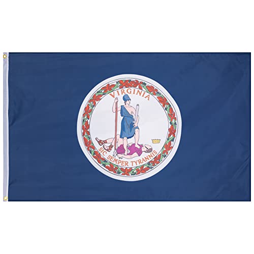 MUWO Flagge America Edition 90 x 150 cm, doppelseitige Gartenflagge, wetterfeste Fanflagge, Fußballflagge Polyester der 50 Vereinigten Staaten, USA-Bundesstaaten mit Ösen (Virginia) von MUWO