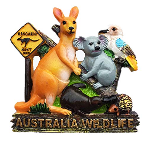 MUYU Magnet Kühlschrankmagnet, Australien Tier, Dekoration für Zuhause und Küche, magnetischer Aufkleber. Australien Kühlschrankmagnet Tourist Souvenir Geschenk von MUYU Magnet