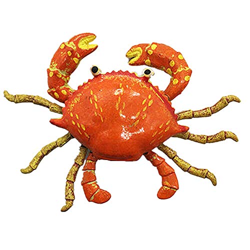 MUYU Magnet Palau Boracay Bali Malediven Orange Crab Kühlschrankmagnet Heim & Küche Dekoration Kunststoff Magnetaufkleber Kühlschrankmagnet Sammlung Reise Souvenir Geschenk von MUYU Magnet