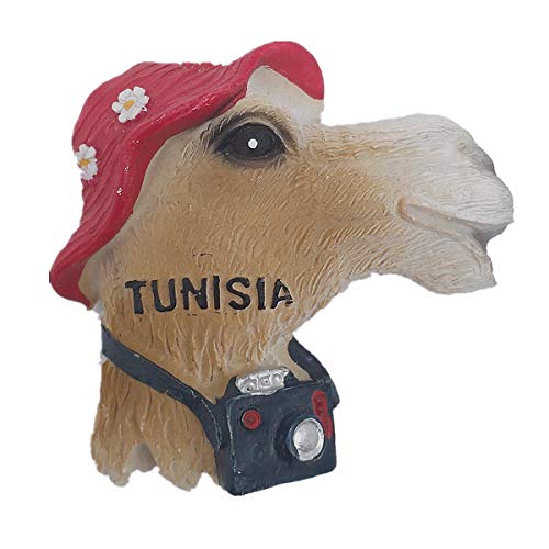 Tunesien Afrika 3D-Kühlschrankmagnet Touristensouvenir Geschenk & Sammlung Heim & Küche Dekoration Magnetaufkleber Tunesien Kühlschrankmagnet Kollektion von MUYU Magnet