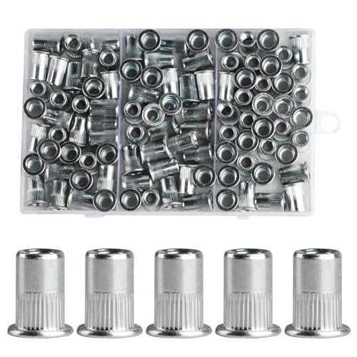100 Stück Nietmuttern Sortiment, Nietmuttern M8, Blindnietmuttern Set, Einnietmuttern für Nietmutternzange, Flachkopf Einziehmuttern, Gewindehülsen Gewindenieten Hülsenmutter für Metallplatten Rohre von MUZHUPGUZ