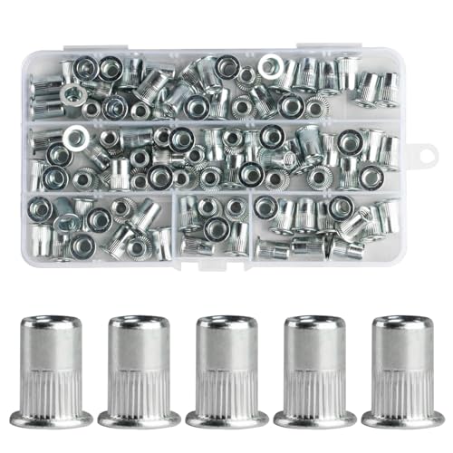 120 Stück Nietmuttern Sortiment, Nietmuttern M6, Blindnietmuttern Set, Einnietmuttern für Nietmutternzange, Flachkopf Einziehmuttern, Gewindehülsen Gewindenieten Hülsenmutter für Metallplatten Rohre von MUZHUPGUZ