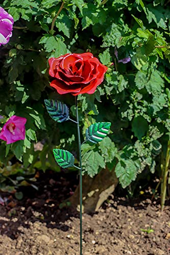 MW Handel Gartenstecker Blume aus Metall, 13cm x 8cm x 62cm (Rose rot) von MW Handel