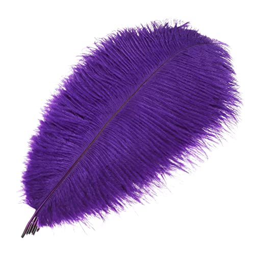 Mwoot 10 Stück Natürliche Straußenfedern, Strauß Feder Plume für Hochzeit Party Fest Tisch Herzstück Dekoration (Schwarz, 25-30 cm) (Violett) von MWOOT