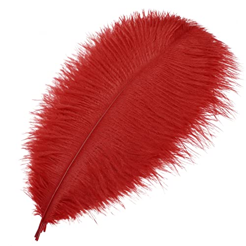 Mwoot 10 Stück Natürliche Straußenfedern, Strauß Feder Plume für Hochzeit Party Fest Tisch Herzstück Dekoration (Schwarz, 25-30 cm) (rot) von MWOOT