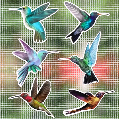 MWOOT 12 Stücke Fliegengitter Magnete Screen Door Dekorative,Kolibris Magnetische Decals,Magnet für Fliegengitter,Dekorative Doppelseitig Flexible Magnete Fliegengittertüren Aufkleber(6 Stile) von MWOOT