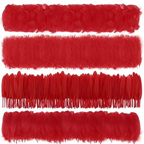 MWOOT 400 Stück Rot Federn zum Basteln, 7-15CM Natur Bastelfedern Deko für Traumfänger Basteln, 4 Arten Federn für Hochzeit Halloween Masken Faschingskostüme Zubehör Basteln, DIY Crafts Feather von MWOOT