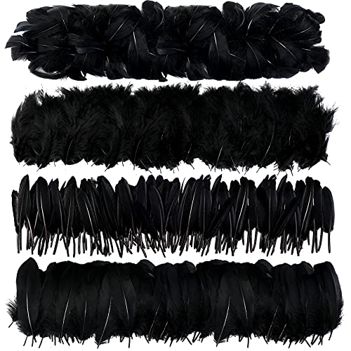 MWOOT 400 Stück Schwarz Federn zum Basteln, 7-15CM Natur Bastelfedern Deko für Traumfänger Basteln, 4 Arten Federn für Faschingskostüme Halloween Masken Ostern Zubehör Basteln, DIY Crafts Feather von MWOOT