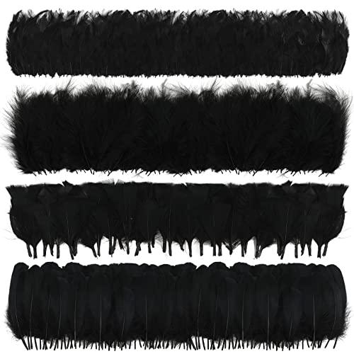 MWOOT 400 Stück Schwarz Federn zum Basteln Deko, 7-15CM Natur Bastelfedern, 4 Arten Federn für Traumfänger Faschingskostüme Halloween Masken Herstellung Ostereier Zubehör Dekoration, Crafts Feather von MWOOT