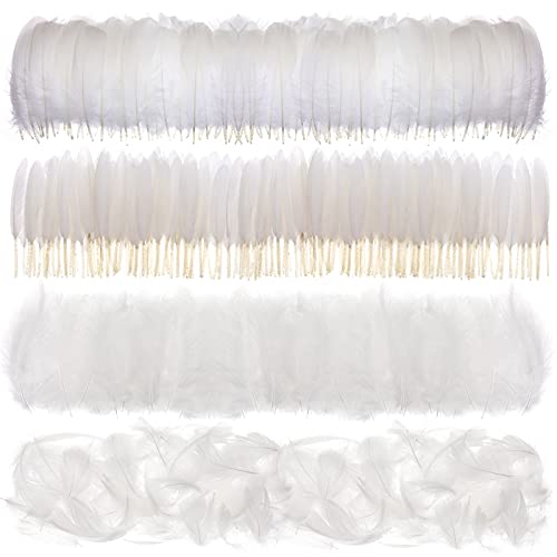 MWOOT 400 Stück Weiß Federn zum Basteln, 7-15CM Natur Bastelfedern Deko für Traumfänger Basteln, 4 Arten Federn für Hochzeit Faschingskostüme Engelsflügel Halloween Masken Ostern, DIY Crafts Feather MWOOT 400 Stück Weiß Federn zum Basteln, 7-15CM Natur Bastelfedern Deko für Traumfänger Basteln, 4 Arten Federn für Hochzeit Faschingskostüme Engelsflügel Halloween Masken Ostern, DIY Crafts Feather von MWOOT