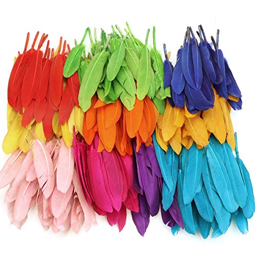 MWOOT Bunte Federn, 240 Stück bunt Gänsefedern, ideal als Dekoration zum Karnival für Halloween Fest Masken, Kostüme und Basteln für Sicher und Ungiftig und Nicht verblassen (10-15 cm) von MWOOT