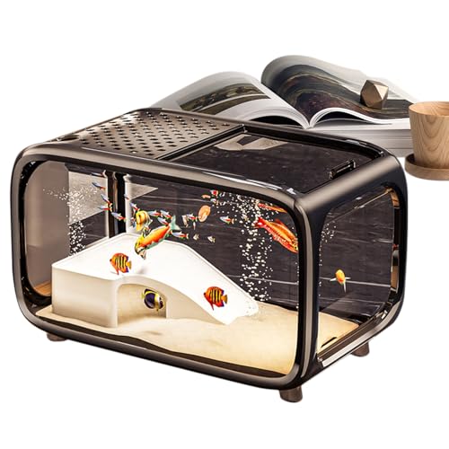 MWZBTG Desktop Aquarium | Desktop Fischglas Schildkrötenbecken mit Kletterdekoration - Klarer Acrylbehälter Lebensraum Für Schildkröten Schnecken Betta Wasserpflanzen MWZBTG Desktop Aquarium | Desktop Fischglas Schildkrötenbecken mit Kletterdekoration - Klarer Acrylbehälter Lebensraum Für Schildkröten Schnecken Betta Wasserpflanzen von MWZBTG