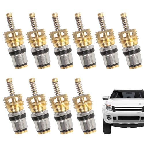 MWZBTG Kfz-Klimaanlagen-Ventilkern,Ventileinsatz für Klimaanlagen | 10 Stück Rostbeständige Klimaanlagen Reparatur Zubehör für Wohnmobil Kfz Fahrzeug Kühlschrank MWZBTG Kfz-Klimaanlagen-Ventilkern,Ventileinsatz für Klimaanlagen | 10 Stück Rostbeständige Klimaanlagen Reparatur Zubehör für Wohnmobil Kfz Fahrzeug Kühlschrank von MWZBTG